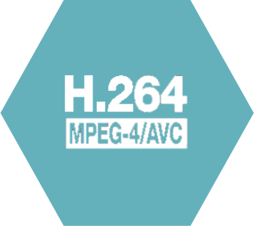 H.264 and MPEG-4